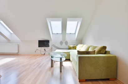 Large air-conditioned apartment - SLIAČ KÚPELE