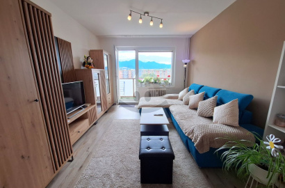 Renovated 2.5-Room Apartment with Two Balconies for Sale