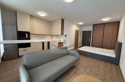 1 izbový byt s parkovacím miestom na prenájom, ul.K.Krčméryho